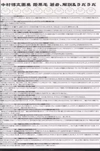 [Nakamura Hirofumi] HIROFUMI NAKAMURA HIMEKURIGE ILLUSTRATIONS