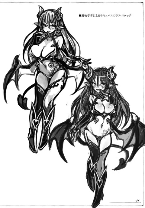Monster Girl Encyclopedia Succubus Notebook