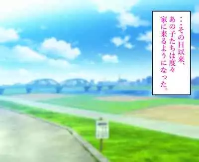 daisukina okāsan o daikiraina aitsura ni netoraremashita .