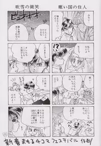 [PALE LILAC (Ohmori Madoka)] EARTH WIND (Sailor Moon)