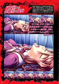 [Liquid (Hikage Eiji)] Saint Dorei Gakuen Visual Fan Book