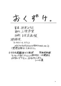 [Sangenshokudou (Chikasato Michiru)] EXEBON (Mega Man Battle Network)