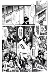 [SINK] Oyako Acme [Chinese]