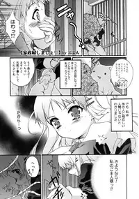 COMIC Megastore 2005-08