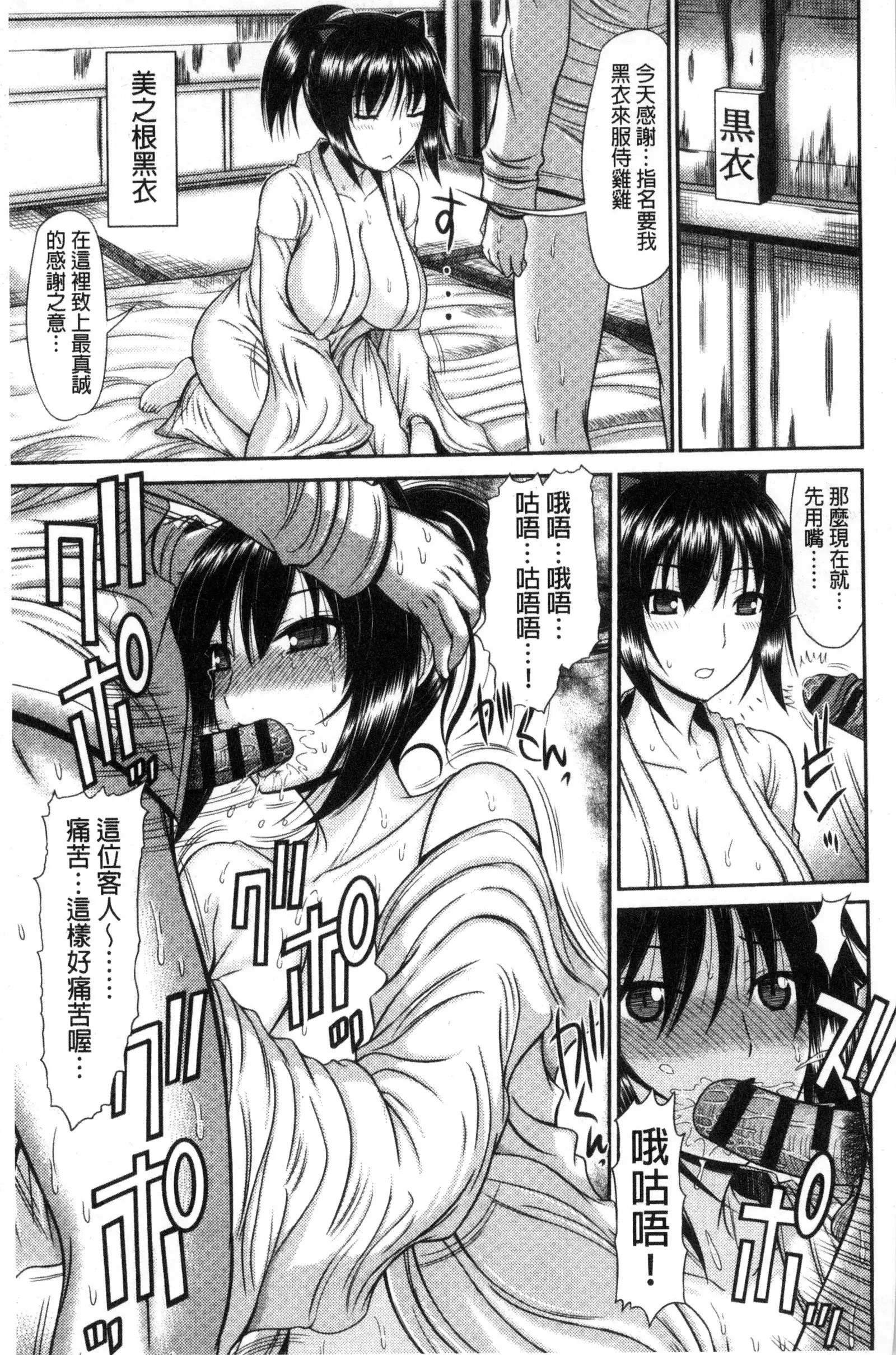 Shimai Seikou Inshuu