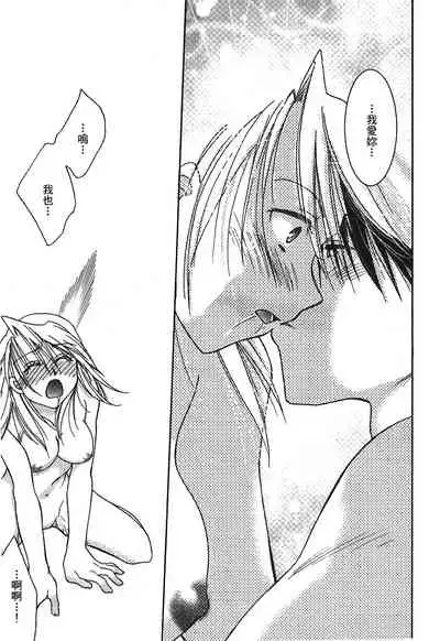 Fullmetal Alchemist 6