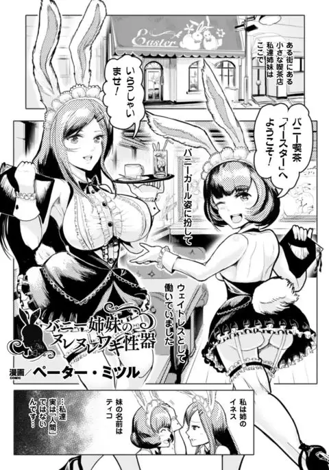 2D Comic Magazine Waki Feti Bunny Girl Vol. 2