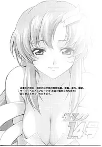 [TimTim Machine (Kazuma G-Version)] TimTim Machine 14 Gou (Gundam Seed Destiny)