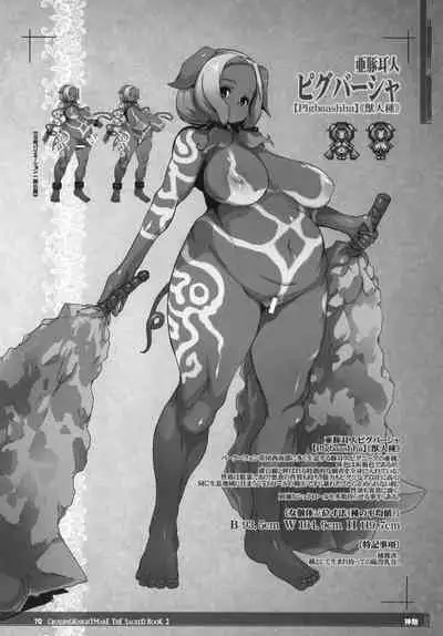 CrossinG KnighTMarE ThE SacreD BooK2