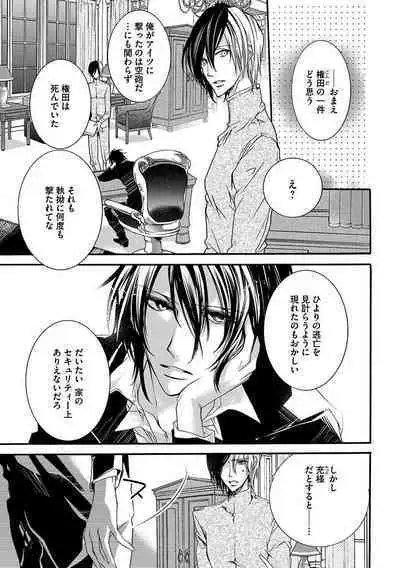 鬼畜兄弟の悶絶調教～私はいいなり奴隷～