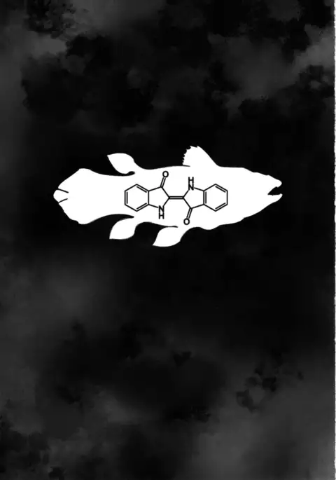 Blue Kudryavka II C16H10N2O2