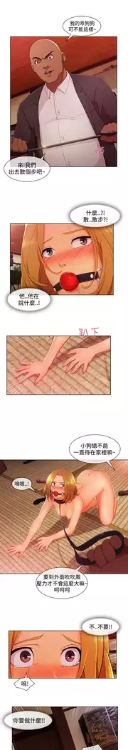 Lady Garden 淑女花苑 第三季