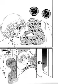 [Donkey] Chocotto Ne