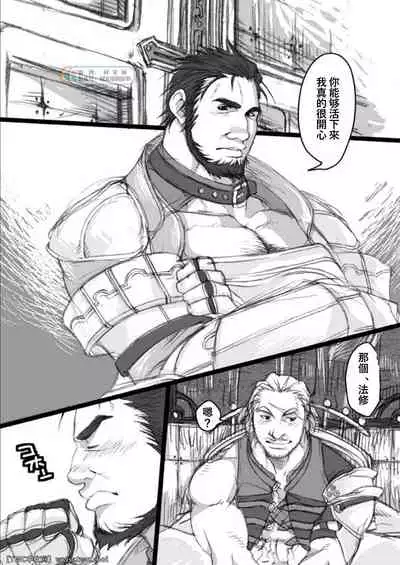 (Osuket 3) [Itachi Gokko (Takezamurai)] meet again (Final Fantasy XII) [Chinese] [同文城]