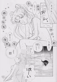 [PALE LILAC (Ohmori Madoka)] EARTH WIND (Sailor Moon)