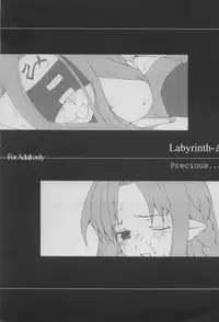 (CR35) [Precious... (Haoto Luna)] Labyrinth-β (Fate/stay night)