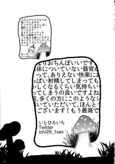 Touhou Ochinpo Haechatta Goudoushi