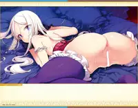 Eiyuu＊Senki GOLD Visual Fanbook