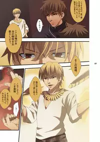 [Sugartiger] NEW OR OLD (Fate/Zero)