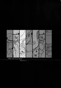 (C79) [Avion Village F (Fechi)] After The Love Affair (Touhou Project)