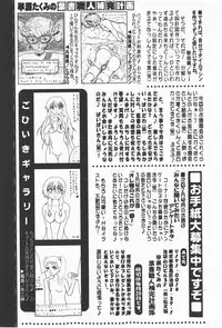 Comic Hime Dorobou 2008-01