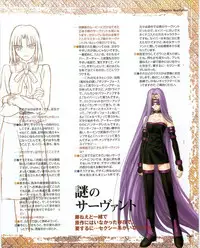 Fate/stay night Premium FanBook