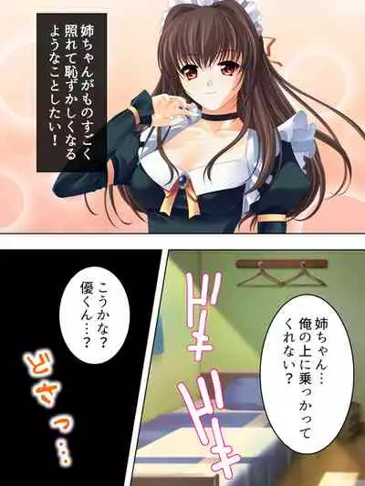 Nee-chan wa Boku no Kokan no Sewagakari ～Konna Seikatsu, Yamerarenai!～