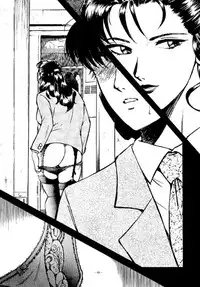 (C47) [METAL (Various)] Rougetsu Toshi - Misty Moon Metropolis COMIC BOOK