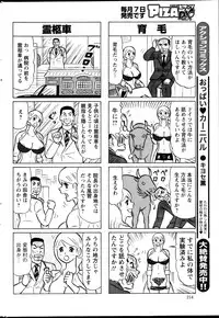 Action Pizazz DX 2013-10