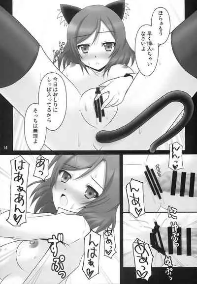 (COMIC1☆9) [Areirias (Yamaguchi Ugou)] Kanojo-tachi no Jijou (Love Live!)