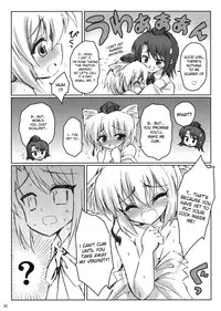 (C74) [54burger (Marugoshi)] Rainbow Bridge (Touhou Project) [English] [desudesu]