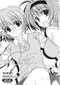 (COMIC1☆2) [SUKAPON-DO (Yano Takumi)] Harunoha (ToHeart2)