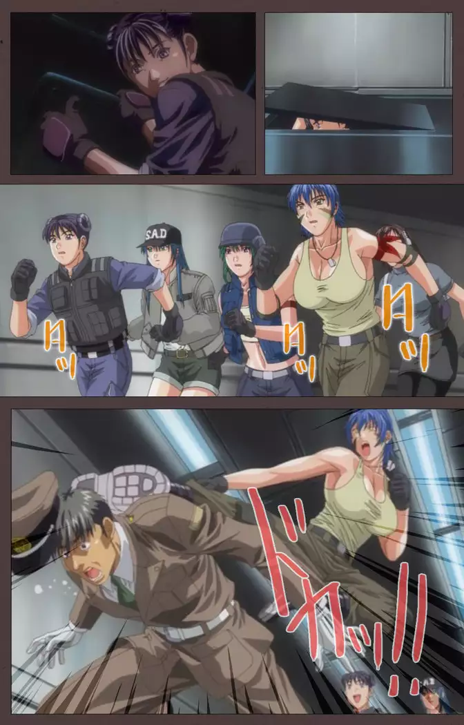 DISCIPLINE Sai shusho Complete ban