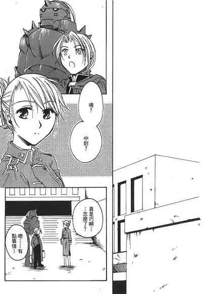 Fullmetal Alchemist 6