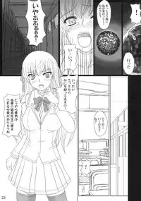 (C71) [Shiawase Kyouwakoku (Shiawase no Katachi)] Katashibu