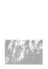 [Kazusa Shima] Haado Buriidaa (Hard Breeder) Vol. 2