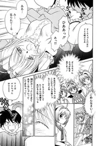 [Donkey] Chocotto Ne