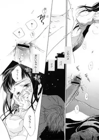 COMIC Hime Dorobou 2009-02