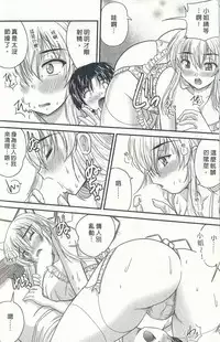 [Nanami Shizuka] Tadashii Reijou no Sodatekata [Chinese]