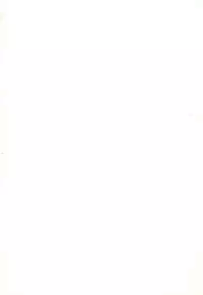 Muyou Yarou A-Team GORGEOUS