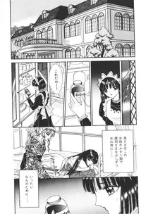 [Senno Knife] EDEN 1