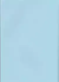 (C78) [Dokudoku Melon (Various)] Sweet 27 Girl (Katekyoo Hitman REBORN!) [Incomplete]