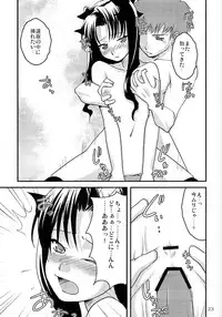 (C73) [Gemou the Cat (Yukako)] Fakers (Fate/stay night)