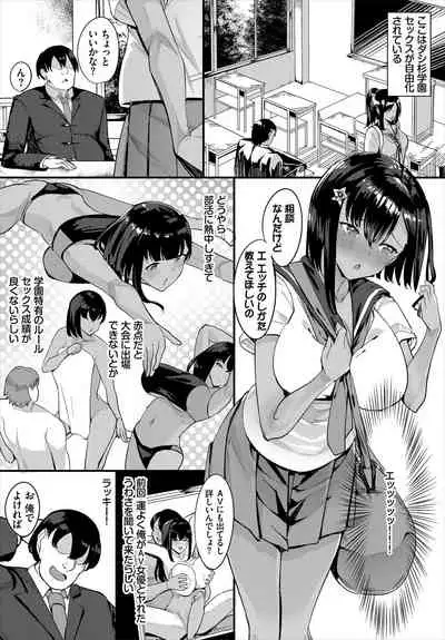 Dascomi Vol.13