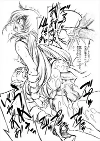 (C93) [FAKESTAR (Miharu)] GD (Record of Lodoss War)