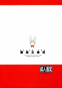 (C63) [AXZ (Harukaze Koucha)] Akugou Sanmai Ni | BLACK BOX (Neon Genesis Evangelion)