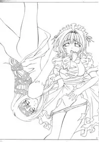 (SC25) [Red Ribbon Revenger (Various)] Kaze no Yousei 2 (Elemental Gelade)