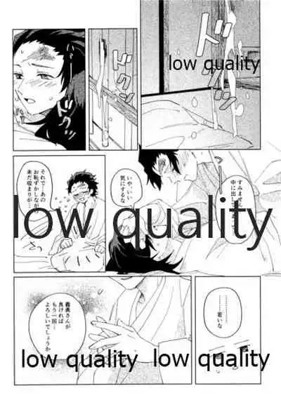 義勇さんはかわいいので大丈夫です