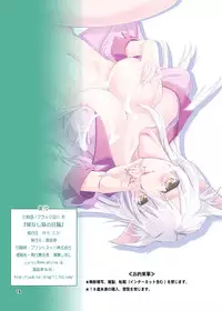 [Joukitei (Urase Shioji)] O-nashi Neko no Kyousou (Bakemonogatari) [Digital]