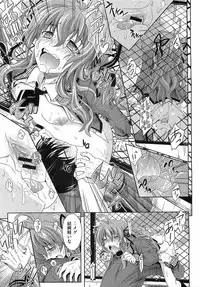 COMIC Megastore 2009-06